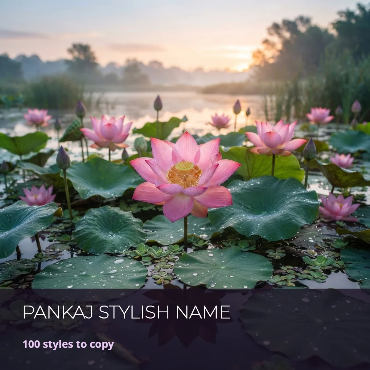 Pankaj stylish name examples in decorated Unicode letters
