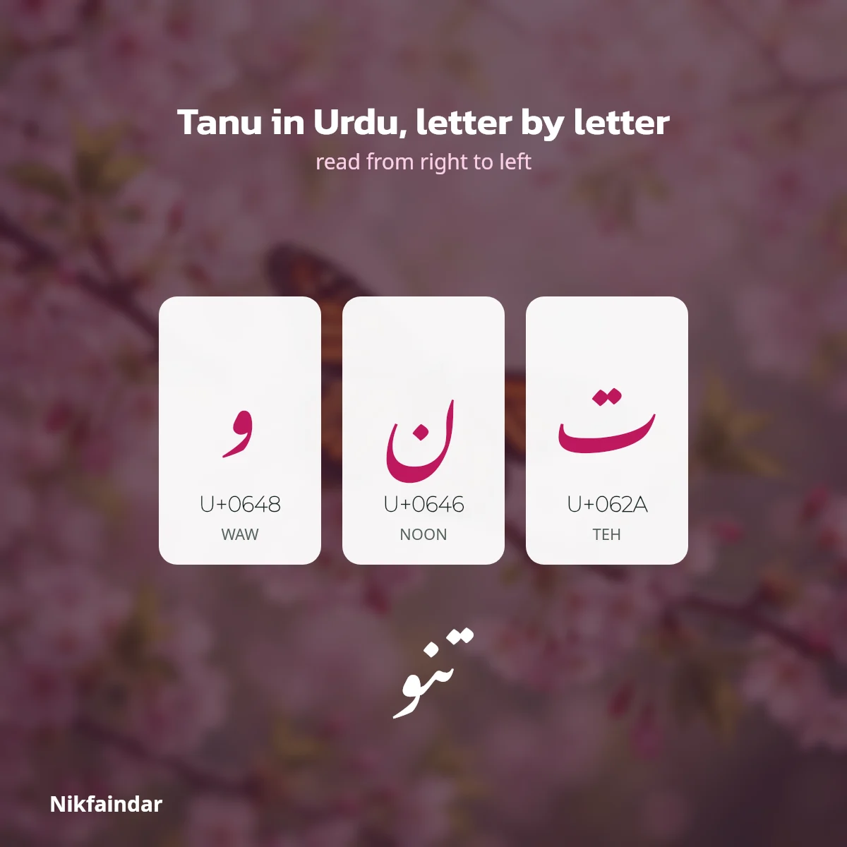 Tanu written in Urdu, each letter shown with its Unicode code point